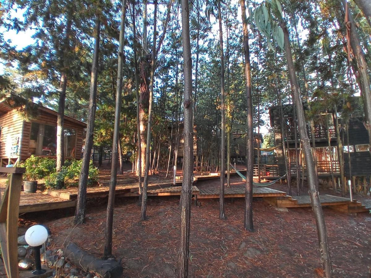 Lodge Terra Mar Pichilemu Exterior photo